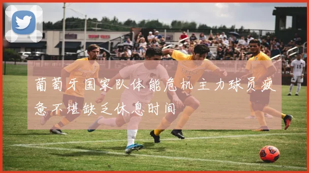 葡萄牙国家队体能危机主力球员疲惫不堪缺乏休息时间